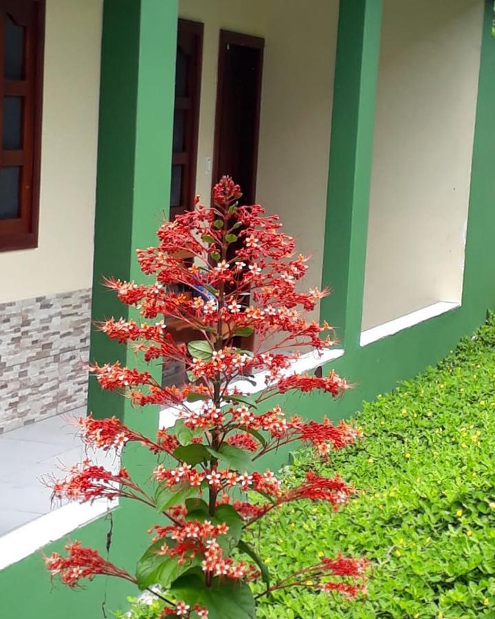 Wikungo Hotel Puerto Nariño エクステリア 写真