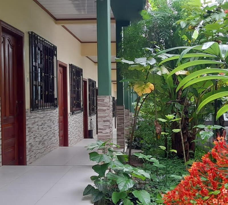 Wikungo Hotel Puerto Nariño エクステリア 写真