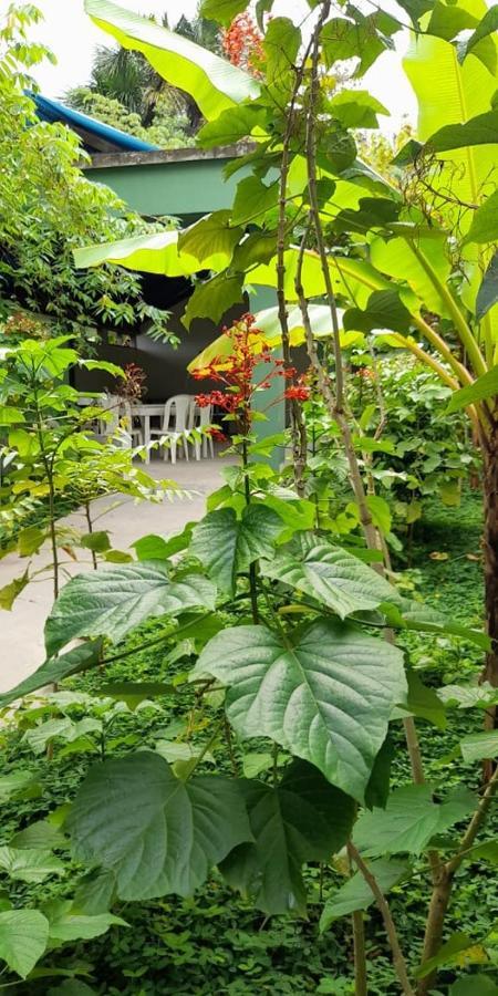 Wikungo Hotel Puerto Nariño エクステリア 写真