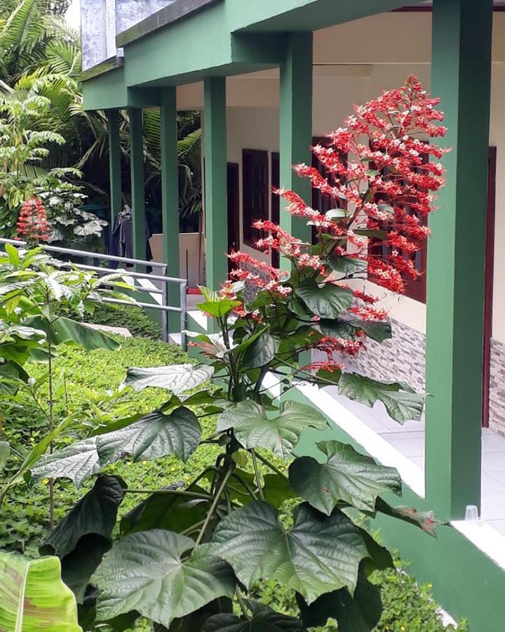 Wikungo Hotel Puerto Nariño エクステリア 写真