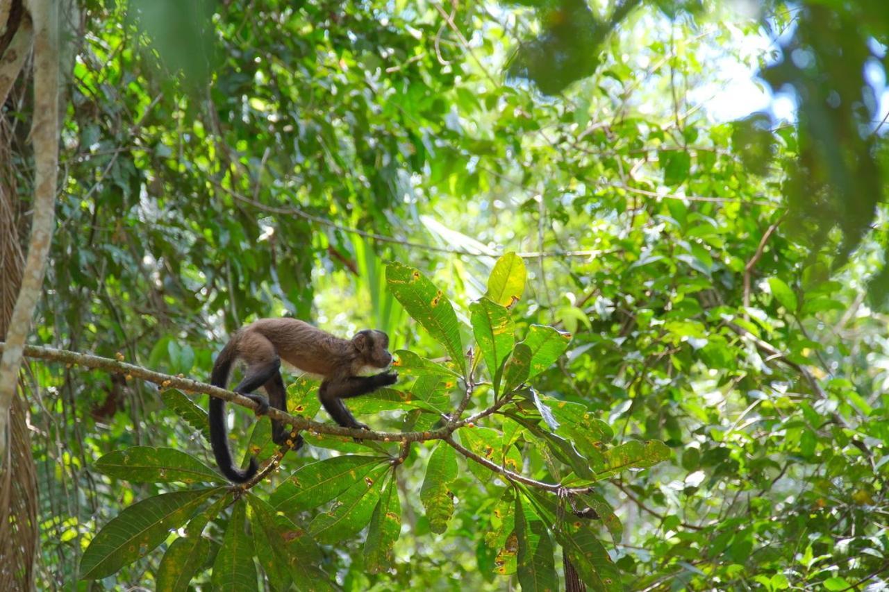 Wikungo Hotel Puerto Nariño エクステリア 写真