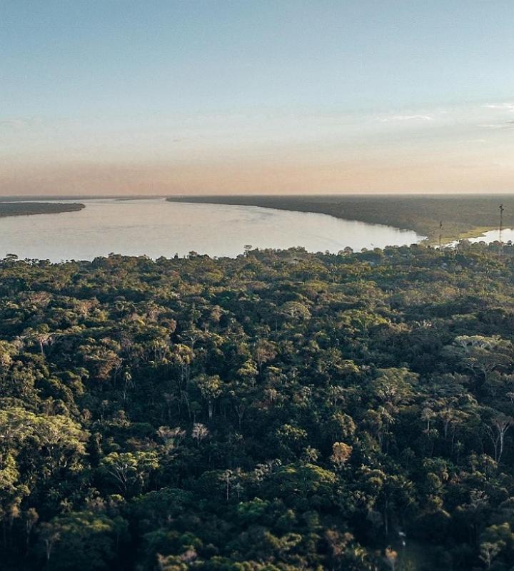 Wikungo Hotel Puerto Nariño エクステリア 写真